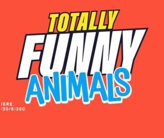 Totally Funny Animals