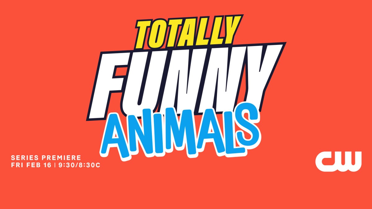 Totally Funny Animals Totally Funny Animals