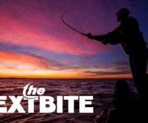 The Next Bite