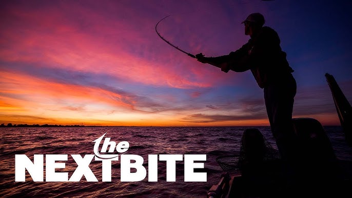 The Next Bite The Next Bite