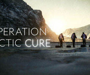 Operation Arctic Cure
