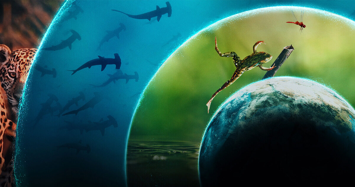 Our Living World
