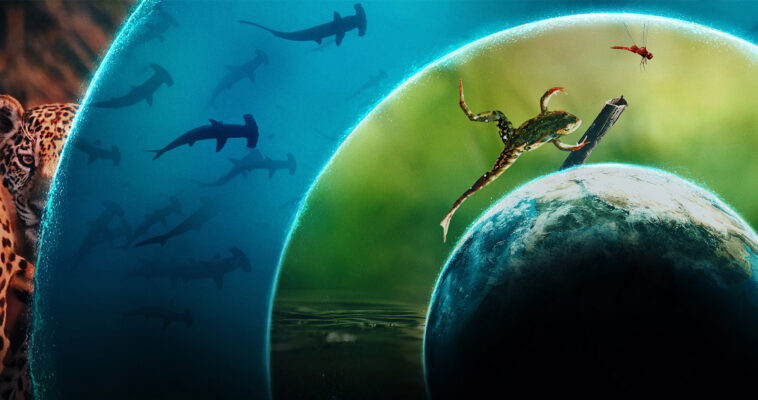 Our Living World