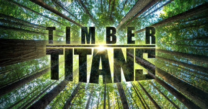 Timber Titans