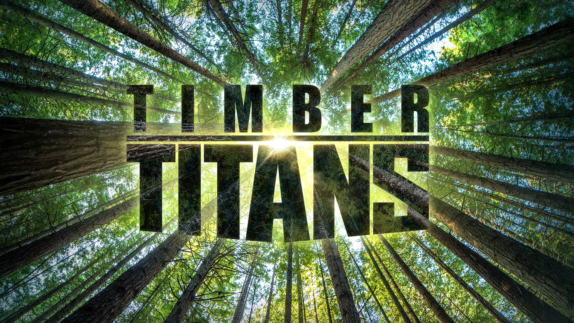 Timber Titans Timber Titans