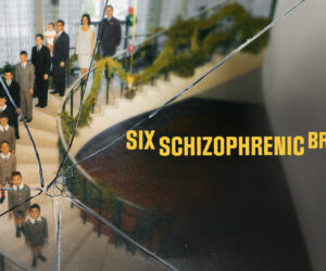 Six Schizophrenic Brothers