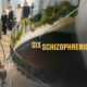 Six Schizophrenic Brothers