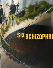 Six Schizophrenic Brothers