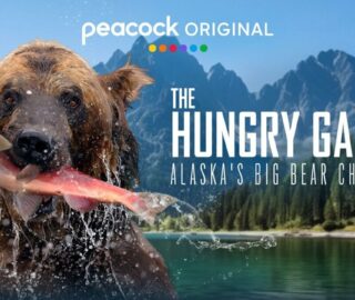The Hungry Games: Alaska's Big Bear Challenge