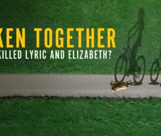 The SuperKitties, Bitsy, Ginny, Sparks, and Buddy, are back! When they're not cuddling up at the Purr 'N' Play playspace or riding in the mobile Purr 'N' Go, this feline foursome is on a mission to protect the pets and people of Kittydale from villains like Mr. Puppypaws, Lab Rat, Cat Burglar, and Zsa-Zsa. Using their Su-Purr Charged superpowers, brand-new cat-tastic gadgets, and, most importantly, their purr-ific powers of empathy, the SuperKitties make the world a kinder, more pawsome place -- where every day is the best day ever!