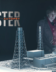 Disaster Autopsy