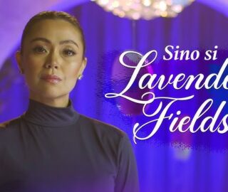 Lavender Fields