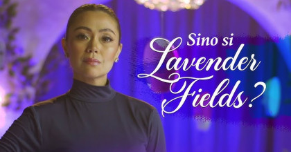 Lavender Fields