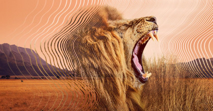 Secret World of Sound with David Attenborough