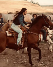 The Wranglers