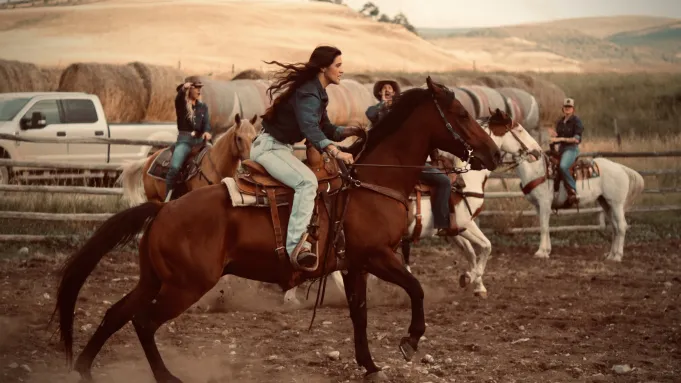 The Wranglers