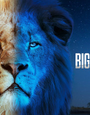 Big Cats 24/7