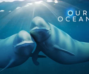 Our Oceans