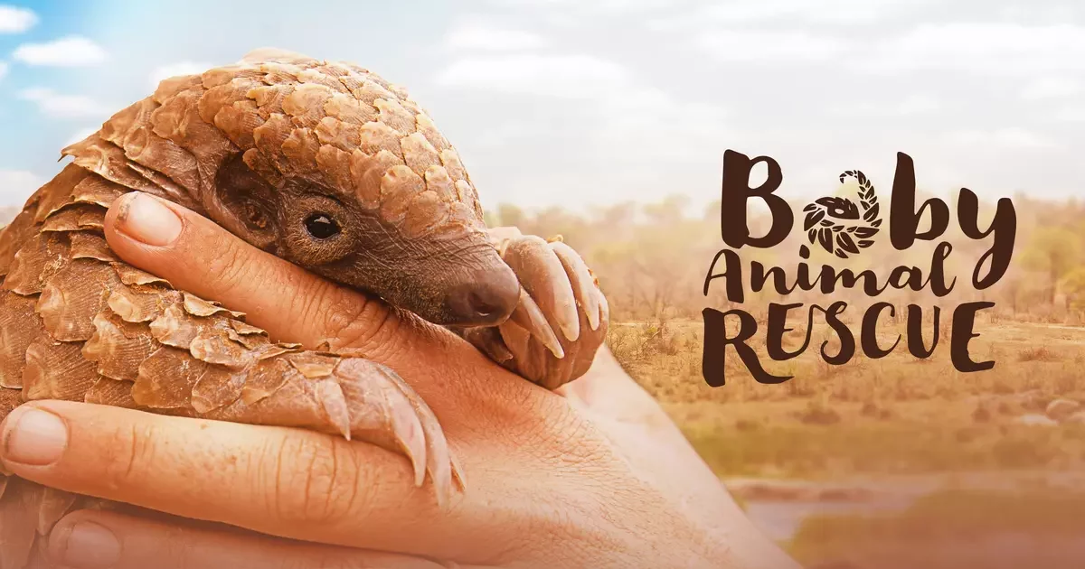 Baby Animal Rescue