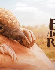 Baby Animal Rescue