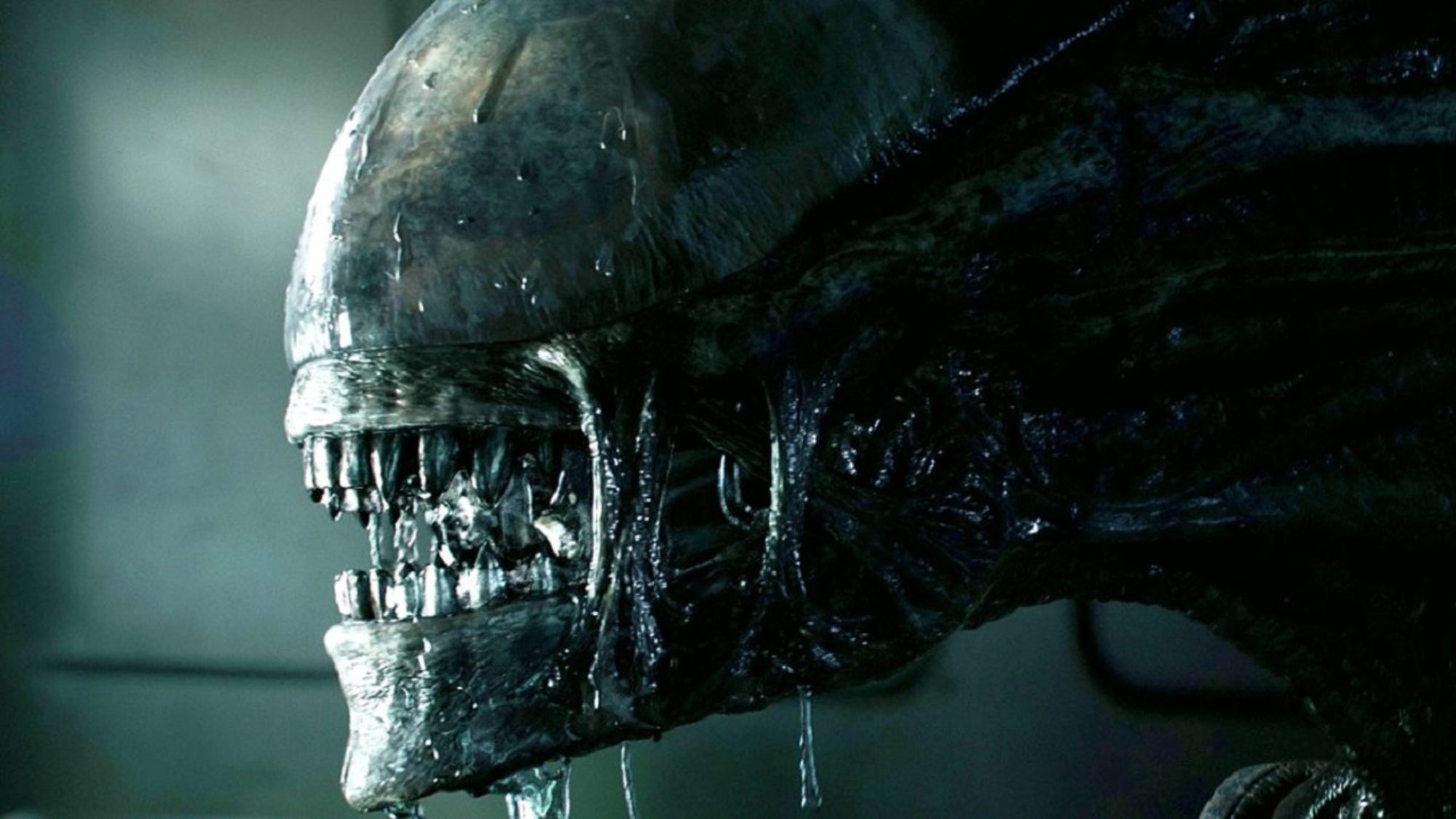 Alien: Earth Alien: Earth