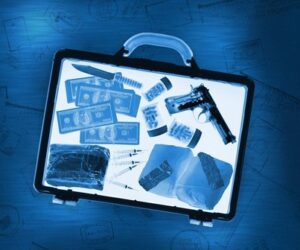 Contraband: Seized at the Airport