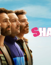 Shafted